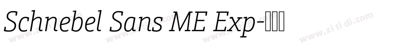 Schnebel Sans ME Exp字体转换